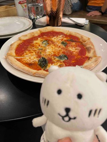 夏休みにおいしいごはんいっぱい食べたの！ぬしの大好きなうすい生地のピザ美味しかったよ🍕