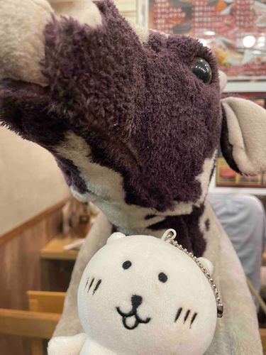 うしさんでっかいの！🐄