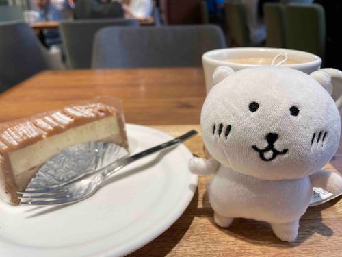 お気に入りのカフェはとってもリラックスできるの〜☺️☕️