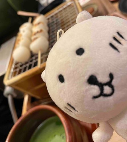 おだんごをやきやきしてお抹茶と一緒に食べたの！🍡🍵
焼きたてのおだんごははおこげまでいい味付けになって美味しかったの😋