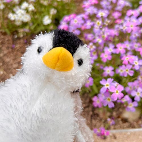 はじめまして！
ふわふわぺんぎんのぺんぺんです🐧

たべるのだいすき
きれいなおはなだいすき
みんな   よろしくね✨️