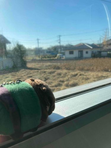 今日はとても良い天気だったから、みんなでお出かけ………………もとい、あるじの護衛だ！！！これは窓の景色を眺めるもちぎねを、おれが撮った写真だ。
いつ何時でもあるじのお姿を最高の状態で写真に収められるよう、常に技術を磨いておかなければな。
どうだ、旅のわくわく感が伝わってくるだろう？
