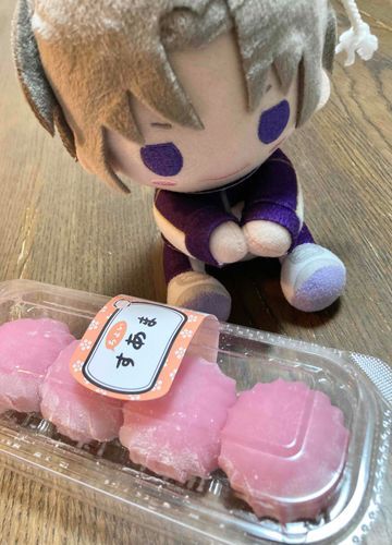 あるじの最近のまいぶーむは「すあま」だそうだ。おれの元いた場所では見かけない甘味だったが、食べてみると凄くもちもちとしていて、控えめな甘さが美味しい菓子だった。お茶がほしいとあるじが呟いていたのを、おれは聞き逃しませんでしたよ！次は緑茶も煎れて、アフタヌーンティーを開きましょうね、あるじ！