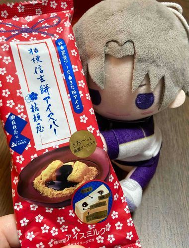 これは噂の信玄餅……の、アイスだ。信玄餅は、筑紫もちとなんだか似ているな。このアイスは、黒蜜ときなこの味が濃くて、とても甘かった。中に入っている餅は意外とやわらかくて、とても美味しかったぞ！