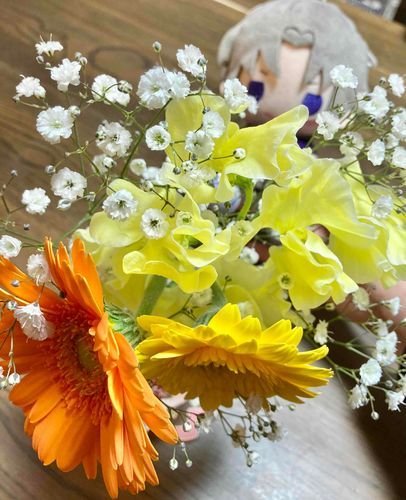 あるじに教えていただいたが、はっしゅたぐ……そんな機能があるのか
#花