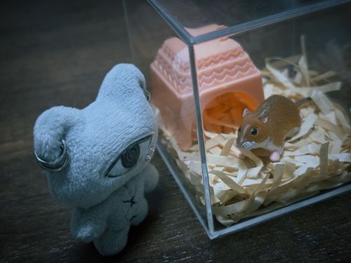 ネズミ