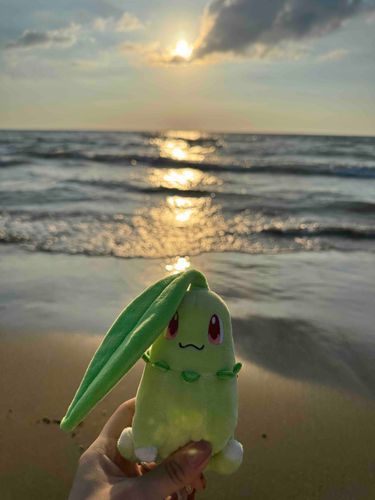 うみだよ！🌊