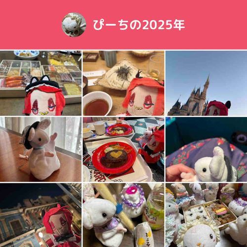 一年の総括だよ！今年はおでかけしすぎて持ち主が全然写真あげてないかも…と思ったけどそんなことなかったね〜！来年もいろんなところに行きたいね！