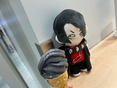 えっこの黒いの白夜のとこのかぐやさんのお菓子なの？？？ほんとうに？？？持ち主嘘こいてない？？？