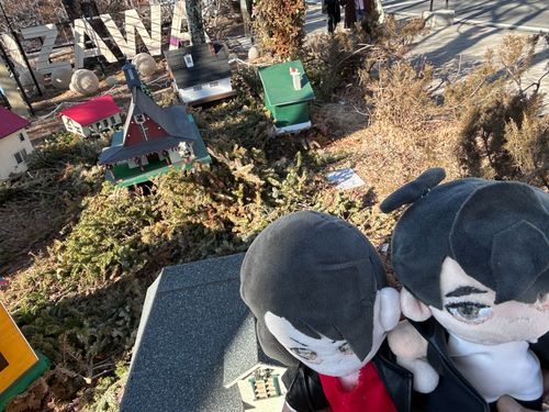 このサイズならおれたちでもすめるかな！？