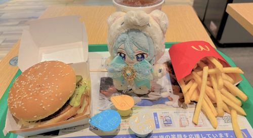 1年ぶりくらいにマックを食べました…♪