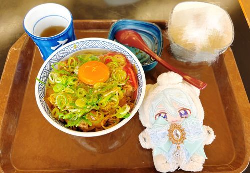 牛丼！！ねぎたくさんで美味しかった♪