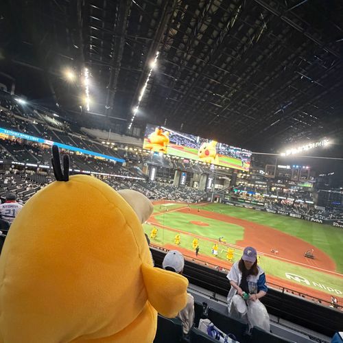 こだ、初めての野球観戦⚾️︎