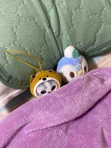 おやすみ🧸🌙
