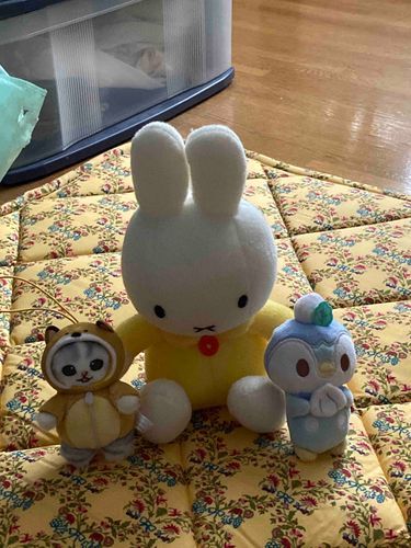 ぼくたちのお友達のりっふぃだよ