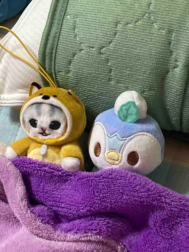 今日も仲良くおやすみ😴
