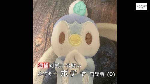 飼い主がこんなの作ってた😱