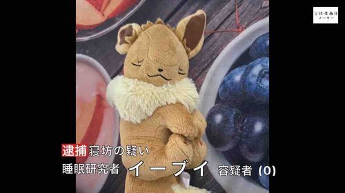 イーブイも逮捕されちゃった😱