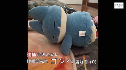 ゴンベも逮捕されちゃった😱