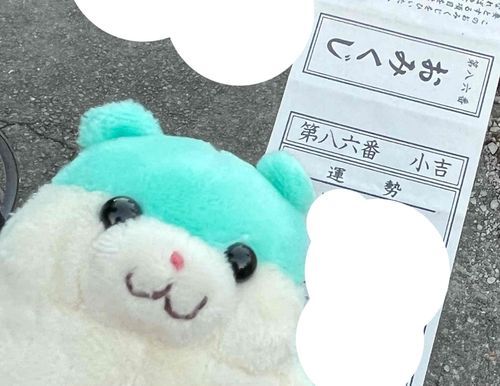 そしておみくじは小吉でした