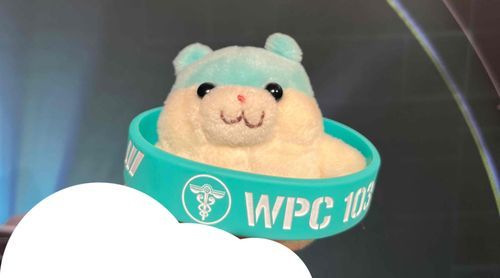 同じ色です！