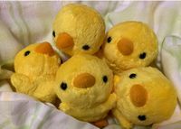 ぴよーず