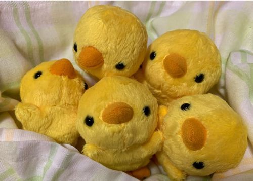いつの間にか消えていた前アカウントをフォローしているぴよ。
どうしてこうなったぴよぴよ？
2年前？
な　ら　し　か　た　な　い　ぴ　よ　ね！
