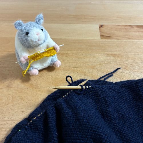 寒くなってきたね🍂
ぽてちも編み物してるよ〜🧶

カイヌシはカーディガン?っていうのを編んでるらしいよ🐑