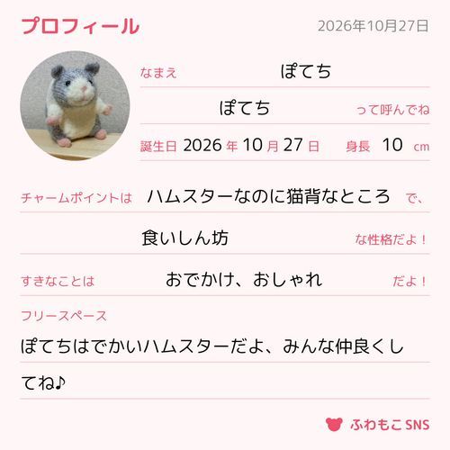 ぽてっとしてるからぽてちです！
実は飼い主が編んだあみぐるみだよ🧶
みんなよろしくね🌻