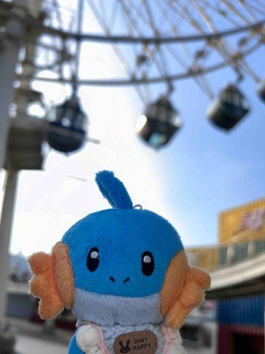 🎡