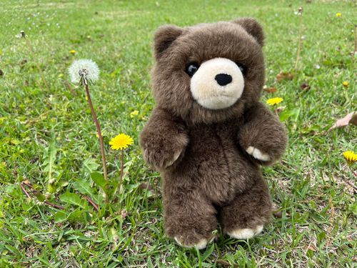 たんぽぽ🧸
こっちをアイコンにしたいけど
ふわもこはアイコンの画像は替えられない？のかな？