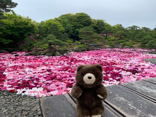 ３年前くらいに行ったときの由志園だよ〜
GWに池をお花でいっぱいにしてくれるんだ🧸