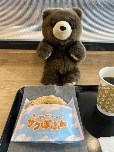 サクぽふんにありついたー！
空気みたいに軽いから
きっとゼロカロリーだね🧸✨✨