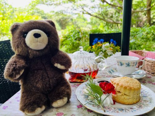 ローズガーデンで紅茶とスコーン🫖🌹✨✨