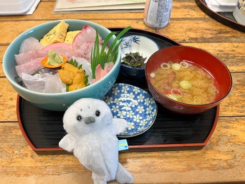 たんぽぽ代打のあざらしくん
海鮮丼おいしかった〜✨