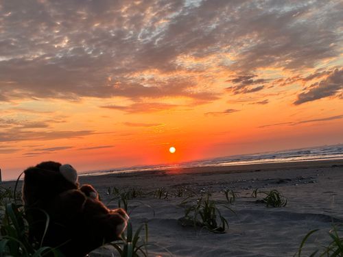 日の出チャレンジ🌅

→寝坊🛌🧸
おひさまが出てから海岸辿り着いた…🥲