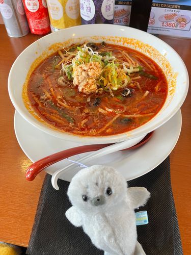 たんぽぽ代打のあざらしくんがお送りします🦭
幸楽苑の新メニュー🍜
「会津レッド」
から〜い🔥醤油らーめん🍜
今日から✨だよ〜‼️🦭

郡山ブラックも今日から18日まで３日間やってるよ〜‼️

会津レッドって名前がかっこよすぎるよ〜❣️