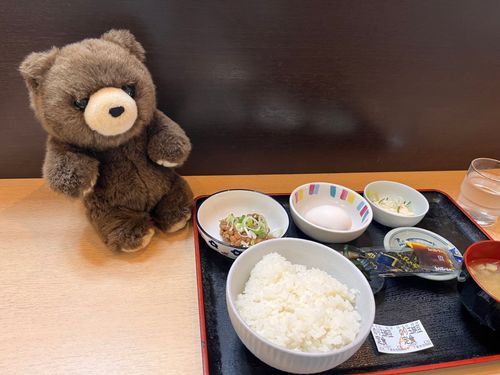 朝ご飯に
道の駅しもつまでいただいた
のり玉納豆定食
納豆の味が濃い…‼️🧸💕