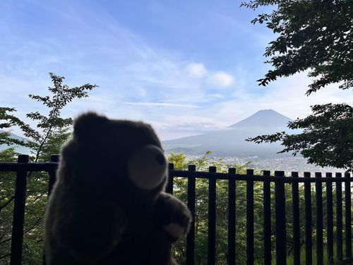 夕方5時のチャイムが聴きたくて、来たけど
期間が終わってて(昨日までだった😢)
インバウンドに大バズりしてて外国の人しかいない空間になってて
駐車場に1500円かかった😢
富士山はいつでもきれい…😢