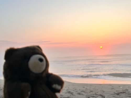 今日の日の出🌅ミッション成功🧸✨