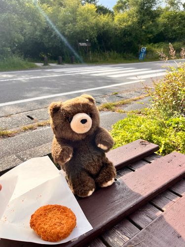 赤とんぼさんと一緒にベンチでコロッケ食べる🧸