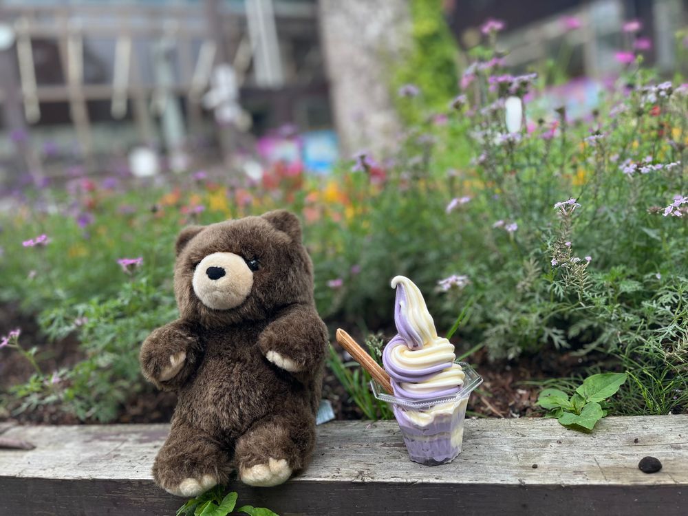 ラベンダー🪻
(ついにふわもこ課金勢になる🧸)