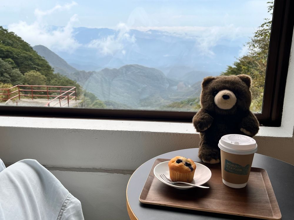 ほぼ日カフェできれいな景色を見ながらマフィンとコーヒーをいただくことに成功🧸✨