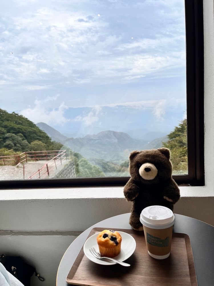 ほぼ日カフェできれいな景色を見ながらマフィンとコーヒーをいただくことに成功🧸✨