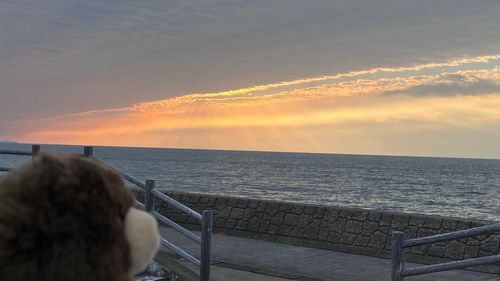 夕焼けチャレンジ🌅
☁️雲☁️でお日さま隠れちゃったなぁ
と、思ってたらお日さま☀️でてきた❗️