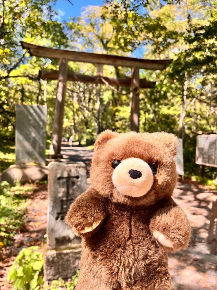 戸隠神社をお参りしてきたよ〜🧸✨⛩️
おみくじ１枚ずつご祈祷してから引いてくれて
特別な気持ち✨
奥宮までの参道がすごく気持ちよかったな〜🧸✨