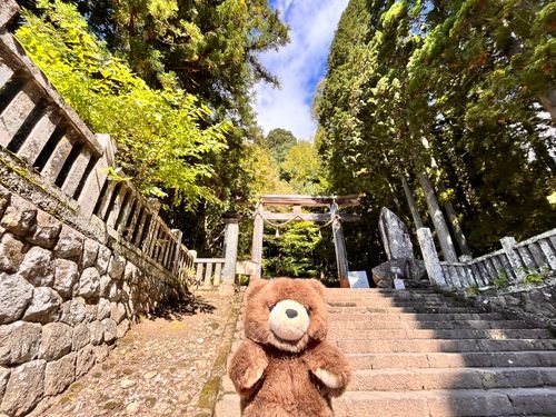 戸隠神社をお参りしてきたよ〜🧸✨⛩️
おみくじ１枚ずつご祈祷してから引いてくれて
特別な気持ち✨
奥宮までの参道がすごく気持ちよかったな〜🧸✨
