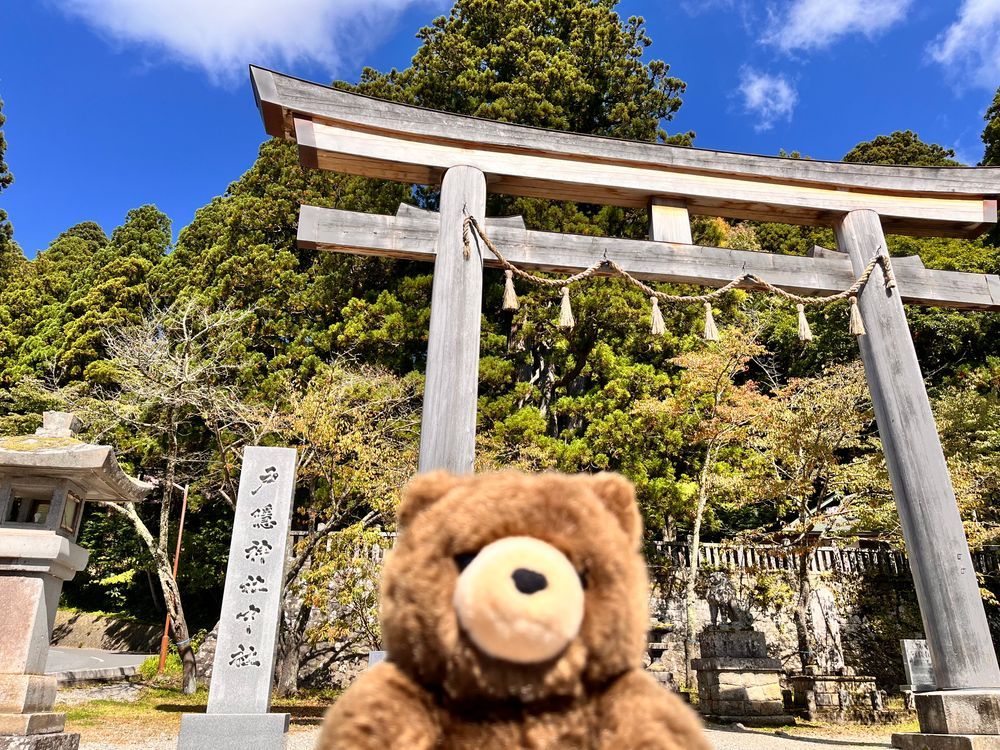 戸隠神社をお参りしてきたよ〜🧸✨⛩️
おみくじ１枚ずつご祈祷してから引いてくれて
特別な気持ち✨
奥宮までの参道がすごく気持ちよかったな〜🧸✨