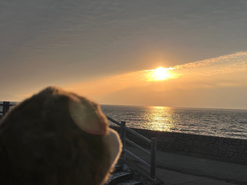 夕焼けチャレンジ🌅
☁️雲☁️でお日さま隠れちゃったなぁ
と、思ってたらお日さま☀️でてきた❗️