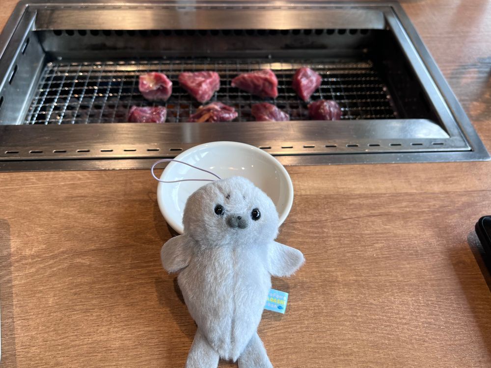 平日昼間のプレミアムカルビ🥩
(たんぽぽ代打のあざらしくん🦭)